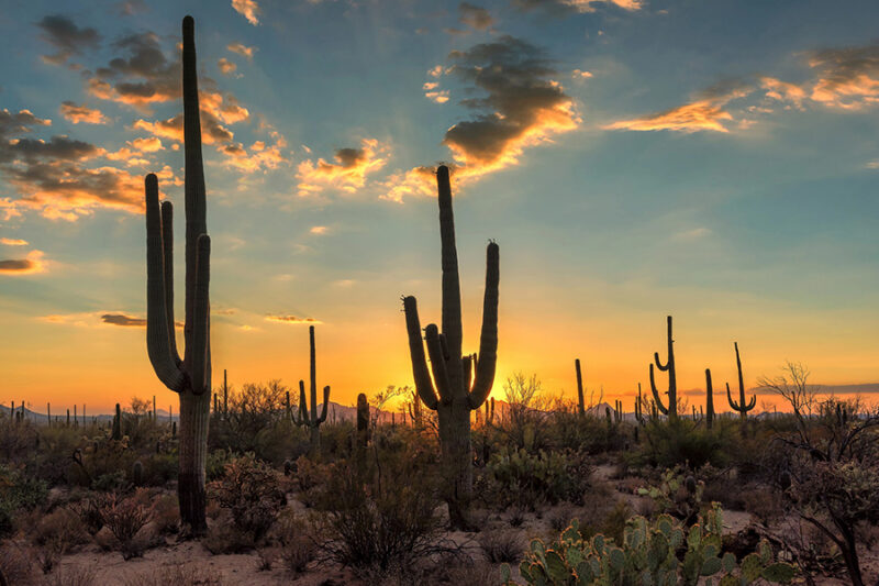 A peaceful Arizona desert landscape, a popular destination for patients traveling for out-of-state rehab
