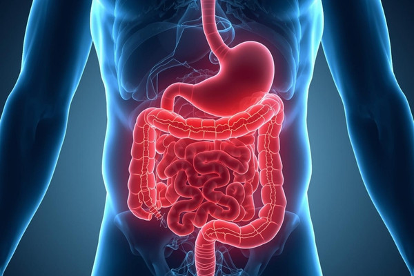 I Love Being Sober | Dr. Nicole Cain | Anxiety